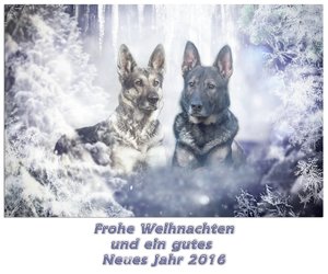 comp_A&O Weihnachten.jpg