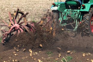 comp_IMG_9562 Kopie2.jpg