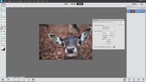 screen-1.jpg screen-1.jpg