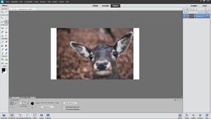 screen-2.jpg screen-2.jpg