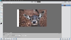 screen-5.jpg screen-5.jpg