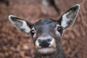 _MG_9091_1400b.jpg _MG_9091_1400b.jpg