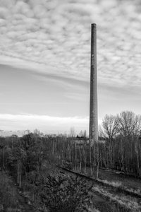 2015-12-25_004173_ESSE  IN  H.jpg