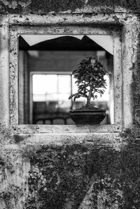 2016-01-02_004613_HALLE  100.jpg