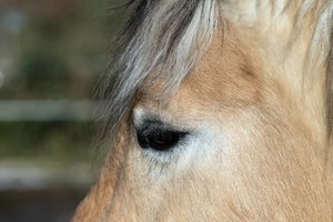 2016-01-02_004652_OLYMPUS  X-T1.jpg