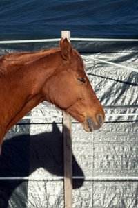 2016-01-02_004655_OLYMPUS  X-T1.jpg