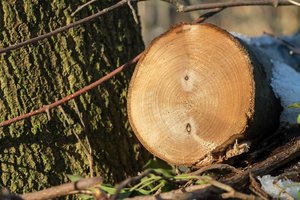 2016-01-02_004664_OLYMPUS  X-T1.jpg