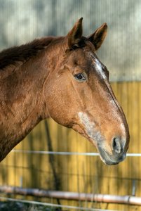 2016-01-02_004651_OLYMPUS  X-T1.jpg