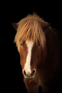 Bearbeitung_fertig.jpg Bearbeitung_fertig.jpg