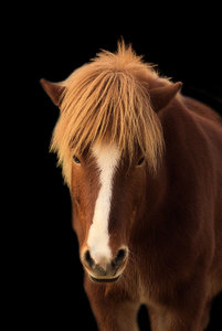 Bearbeitung01.jpg Bearbeitung01.jpg