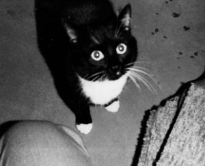 comp_2Kater Mickt-1.jpg