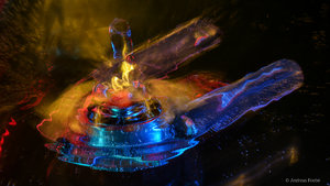 SAM_6597.jpg SAM_6597.jpg