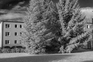 comp_IMG_6529sw.jpg comp_IMG_6529sw.jpg