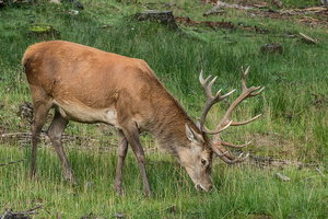 3. Quartal 15  188.jpg