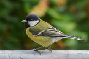 4.Quartal 15   001.jpg