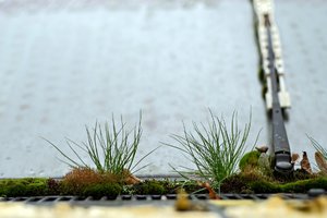 2015-08-00_004697_OLYMPUS-1.jpg 2015-08-00_004697_OLYMPUS-1.jpg