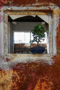 2016-01-12_004709_MARODES WOHNEN FARBE.jpg 2016-01-12_004709_MARODES WOHNEN FARBE.jpg