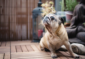 20150829-GS7A4730-2 bearb..jpg