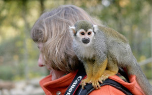 Bild - 1.JPG Bild - 1.JPG