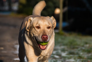 IMG_6812.jpg IMG_6812.jpg