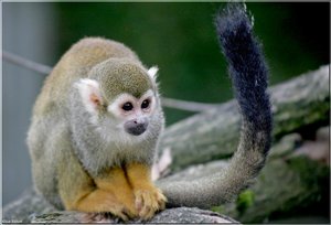 Bild - 5.jpg Bild - 5.jpg