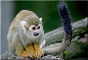 Bild - 6.jpg Bild - 6.jpg