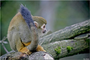 Bild - 8.jpg Bild - 8.jpg