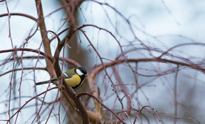 IMG_6998.jpg IMG_6998.jpg