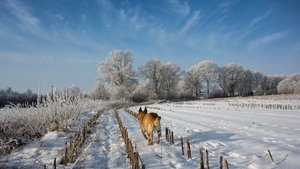Winter_1500_500-1.jpg
