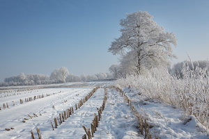 Winter_1500_500-2.jpg
