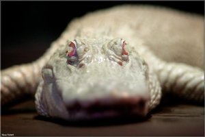 Bild - 10.jpg Bild - 10.jpg