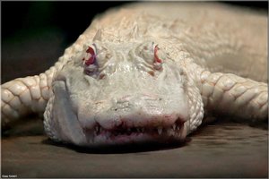 Bild - 9.jpg Bild - 9.jpg