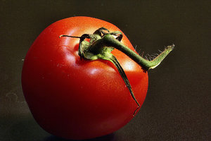 Tomatee.JPG