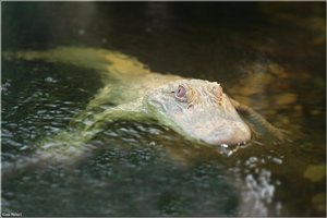 Bild - 15.jpg Bild - 15.jpg