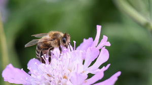 DSC_0574.jpg DSC_0574.jpg