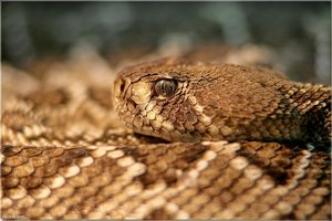 Bild - 16.JPG Bild - 16.JPG