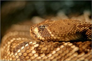 Bild - 18.JPG Bild - 18.JPG