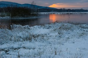 comp_comp_IMGP5674-2 Kopie.jpg