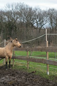 0004955_FUJI  XF  56  1.jpg