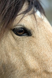 0004964_FUJI  XF  56  1.jpg