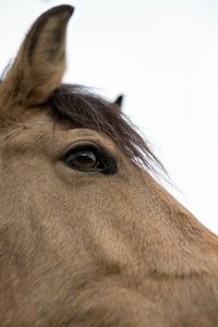 0004966_FUJI  XF  56  1.jpg