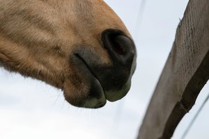 0004967_FUJI  XF  56  1.jpg