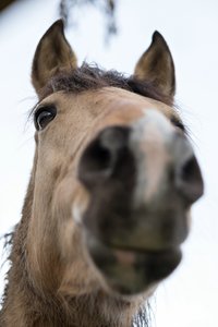 0004969_FUJI  XF  56  1.jpg