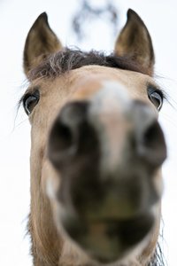 0004970_FUJI  XF  56  1.jpg