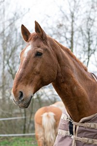 0004962_FUJI  XF  56  1.jpg