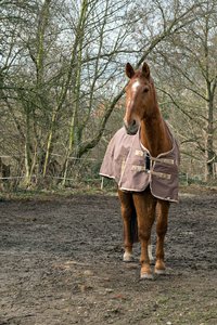 0004963_FUJI  XF  56  1.jpg