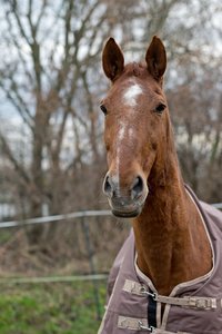 0004973_FUJI  XF  56  1.jpg