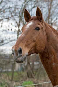 0004974_FUJI  XF  56  1.jpg