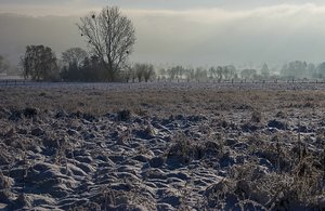 comp_comp_IMGP5635-2 Kopie.jpg