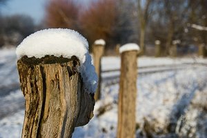 comp_comp_IMGP5642-2 Kopie.jpg